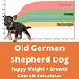 German Shepherd Weight Chart By Age