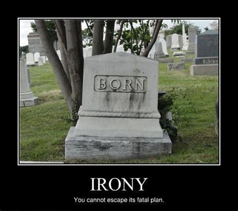 Funny And Ironic Photos Page 83 Jokes And More Jokes Long Island