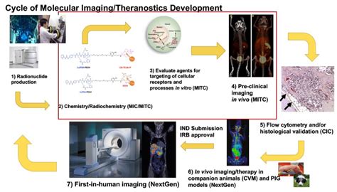 What Is Molecular Imaging Molecular Imaging And Theranostics Center