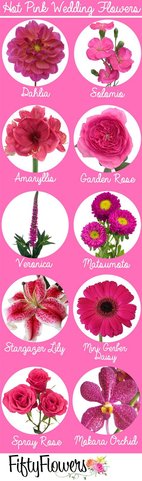 Pink Flowers Images With Names 20 Plants With Pink Flowers Bbc