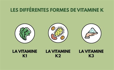 Contents summary function vitamin k redox cycle coagulation (clotting) skeletal formation and prevention of soft tissue calcification regulation of cellular functions deficiency adu. La Vitamine K : Plus importante que l'on ne croit