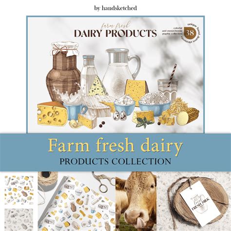 Farm Fresh Dairy Products Collection Masterbundles