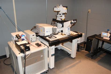 Lsm 710 Confocal Microscope Microscopy Facility