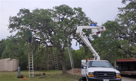 From mowing the yard, trimming the trees, any yard work needs to be done i'll be there to help you. SA Total Tree Service | Tree Service | Tree Removal ...