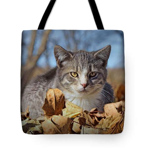 Autumn Farm Cat 1 Tote Bag For Sale By Nikolyn Mcdonald