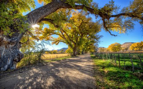 Gorgeous Country Road Wallpaper Nature And Landscape Wallpaper Better