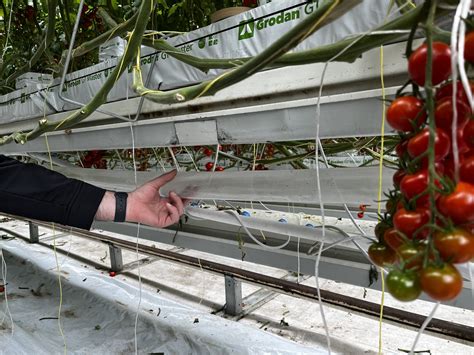 🍅thread🍅 What Cherry Tomatoes Tell You About The Cost Of Living Crisis