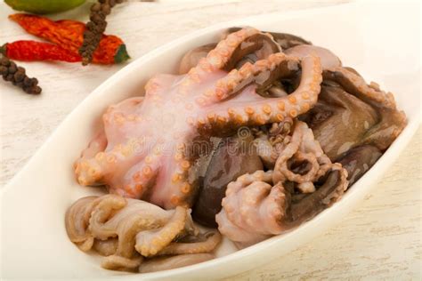 Raw Octopus Stock Photo Image Of Healthy Octopus Food 112066442