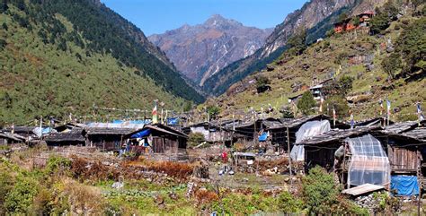 Trek To Olangchung Gola Walung Valley Himalayan Wander Walkers