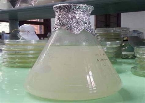 Maybe you would like to learn more about one of these? Jempol! Peneliti IPB Temukan Termoplastik dari Kelapa ...