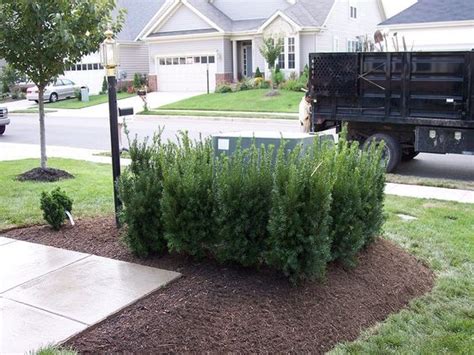 Unfortunately utility boxes are often placed in the most inconvenient locations, like the front yard! disguising outdoor utility boxes | Solutions | Front yard ...