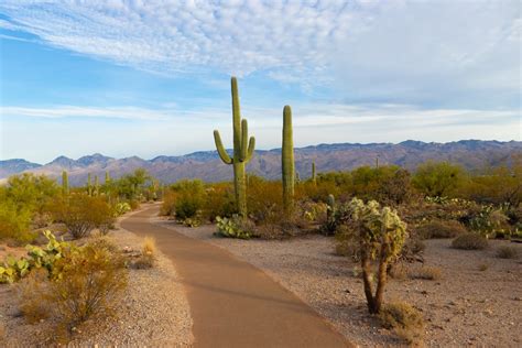 500 Stunning Arizona Pictures Scenic Travel Photos