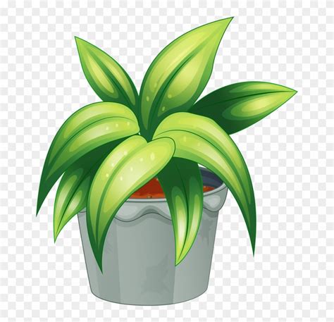 Download Potted Plant Cliparts Non Flowering Plants Clipart Png