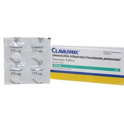 Maybe you would like to learn more about one of these? Clavamox - Antibiotic Tablets and Drops for Dogs and Cats ...