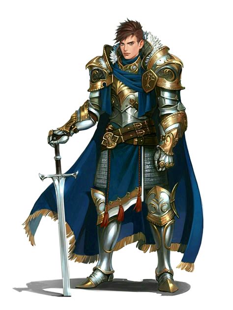 Male Human Fighter Paladin Knight Pathfinder Pfrpg Dnd Dandd 35 5e 5th