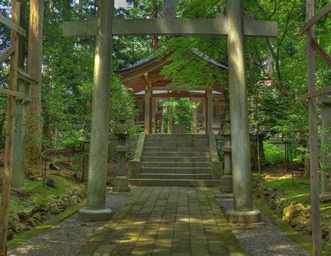 1920x1080px 1080p Free Download Shrine Gate Gate Forest Japan