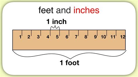 How Many Inches 4 Feet New