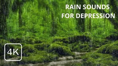 The Sound Of Relaxation A Gentle Rain Soundscape To Help You Fall