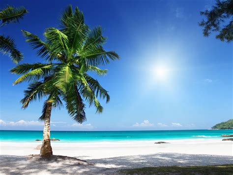 Sunny Beach Wallpapers Wallpaper Cave 87f