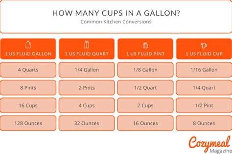 How Many Cups In A Gallon Guide For 2024 Cozymeal
