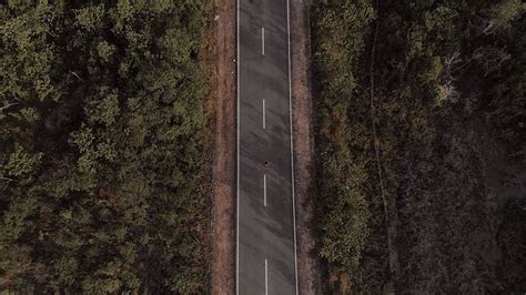 Hd Wallpaper Aerial Photography Of Concrete Road Between Trees At