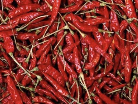 Dry Red Chilli Whole 100 Pure Organic High Quality Sri Lankan Best
