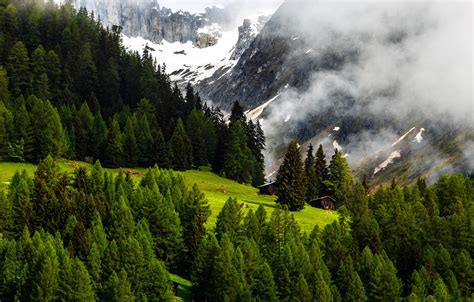 Wallpaper Nature Mountains Switzerland Forest Alps Images For