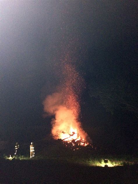 Tree and bushes on fire in Winsford