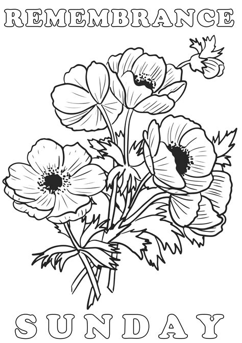colouring poster remembrance sunday poppies rooftop post printables