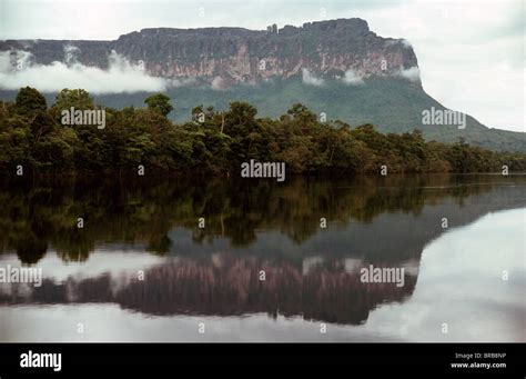 Auyantepui Auyantepuy Devils Mountain From Carrao River Canaima