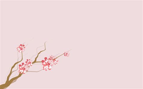 🔥 Download Asian Cherry Blossom Flower Wallpaper By Tammyw19 Cherry
