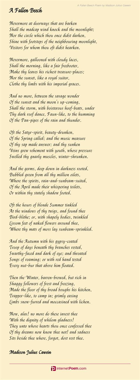 A Fallen Beech Poem By Madison Julius Cawein