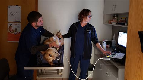 Santa Fe Veterinary Hospital Top Rated Local Veterinarians Riverstone