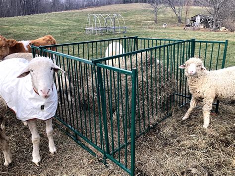 Collapsible Sheep Feeders Lakeland Farm And Ranch Us
