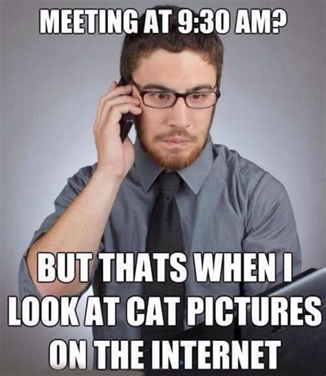 No More Early Morning Meetings Hilarious Funny Pictures Meeting Memes