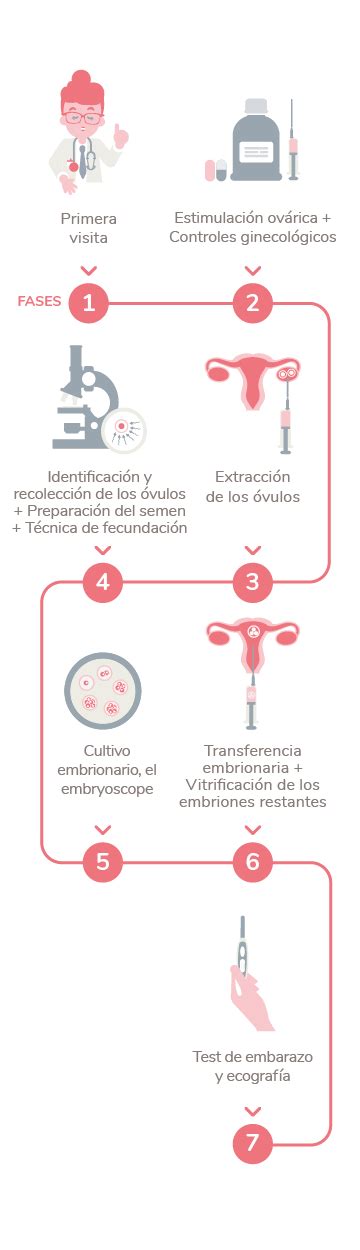 Fecundación In Vitro reproducció assistida Embriogyn
