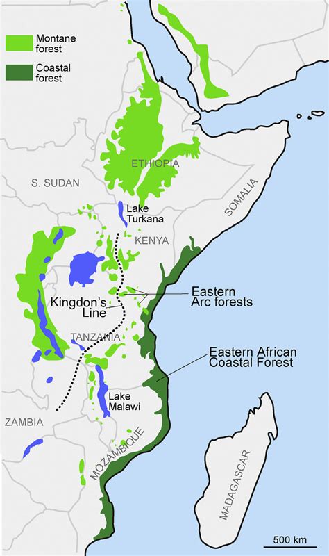East Africa Physical Map
