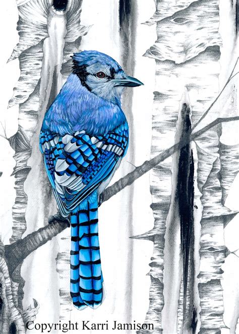 Blue Jay Print Bluejay Art Blue Jay Art Print On Canvas Etsy
