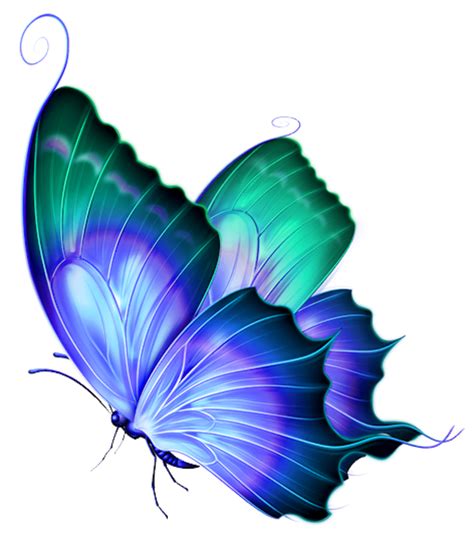 Download High Quality Butterfly Clipart Enchanted Transparent Png