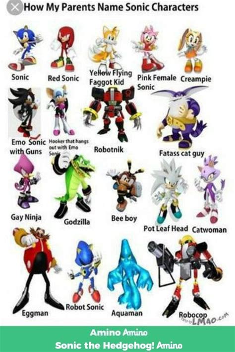 All Sonic The Hedgehog Characters Names