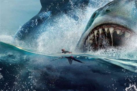 True Size Of Prehistoric Megalodon Mega Shark Finally Revealed And It Was An Absolute Stinking