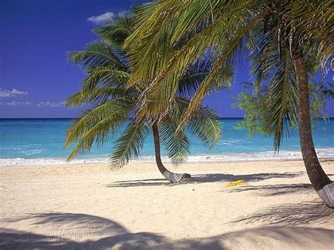 20 amazing photos of cayman islands