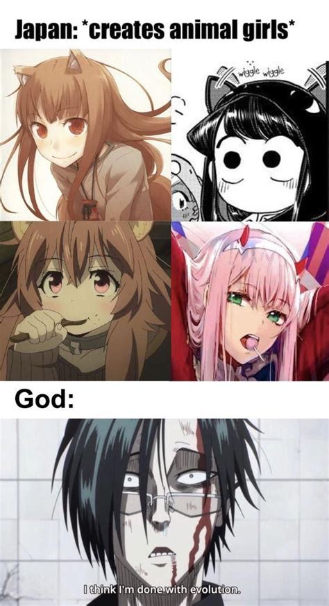 Animemes Anime Memes Otaku Anime Memes Anime