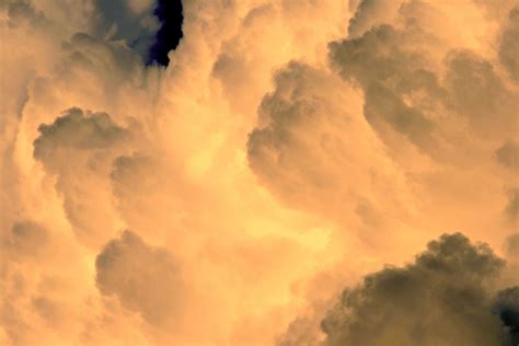 Luminous Cumulus Cloud Free Stock Photo Public Domain Pictures