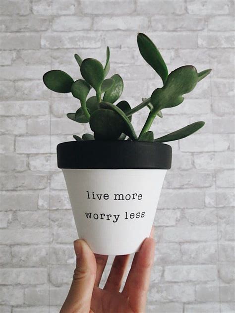 Beautiful plants made to order delivered to your beautiful home. Live More Worry Less, Yogi Gift, Yoga Studio, Motivational ...