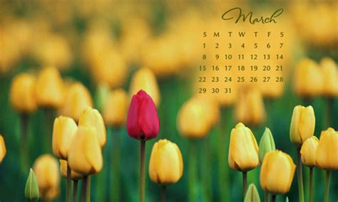 You Wont Believe This 49 Facts About March Wallpaper Free Use Them