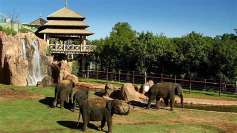 Sanctuary Asia Oklahoma City Zoo Duggan Contracting