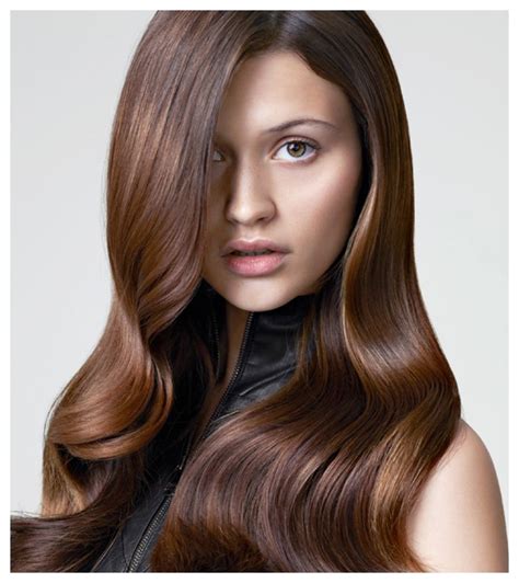 Medium Rich Brown Hair Color Trendy Chocolate Brown Hair Color Ideas