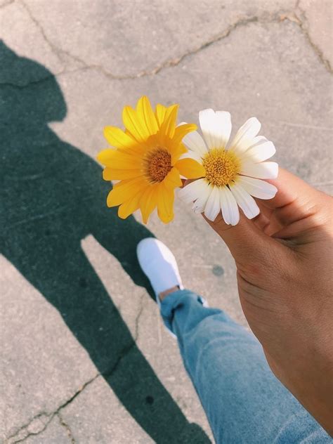 Pin De Kelsey Abernathy Em Flowery Fotos Tumblr Com Flores Ideias De