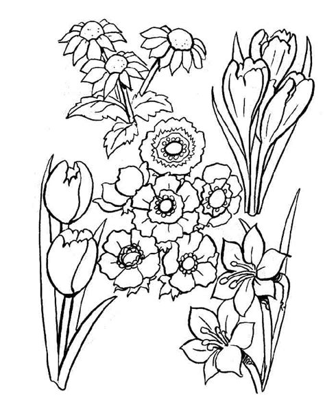 5 plantas sin flores para jardin o maceta 5 tipos de plantas ornamentales cuidemos las plantas profesoras encargadas karina valenzuela sm 74 dibujos de Flores para colorear | Oh Kids | Page 2